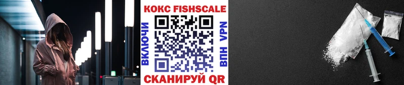 Купить закладки  Мамадыш  Кокаин Fish Scale 