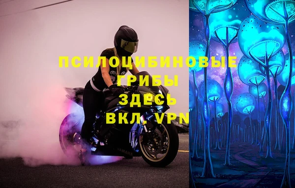 винт Новодвинск