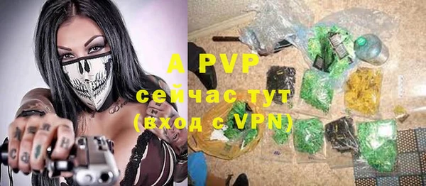 каннабис Новозыбков