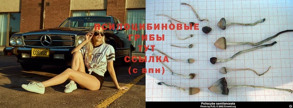 винт Новодвинск